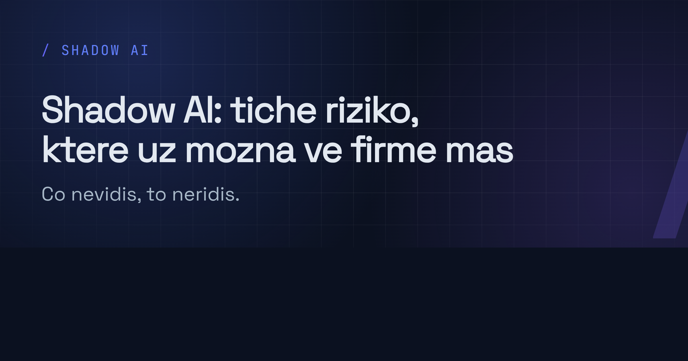 Náhled článku Shadow AI